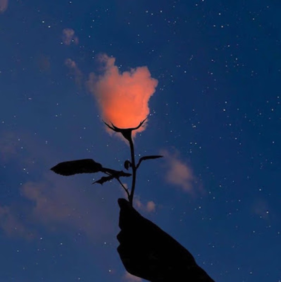 Meet your Posher, Anna - Picture 1 of 1